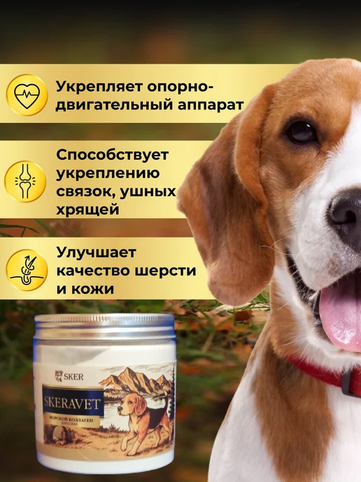 SKERAVET Морской коллаген хондропротектор для собак, суставы и связки, вариант, фото 2