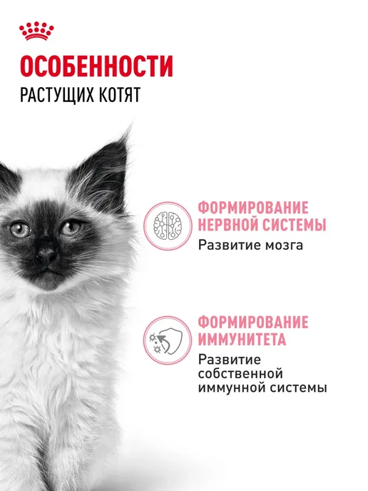 Royal canin Влажный корм Instinctive для котят (в соусе), 85 г, 85 г, фото 2