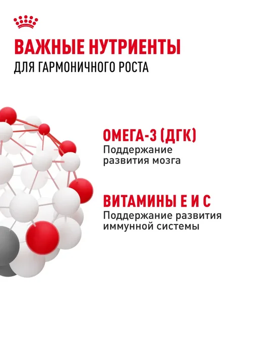 Royal canin Влажный корм Instinctive для котят (в соусе), 85 г, 85 г, фото 5