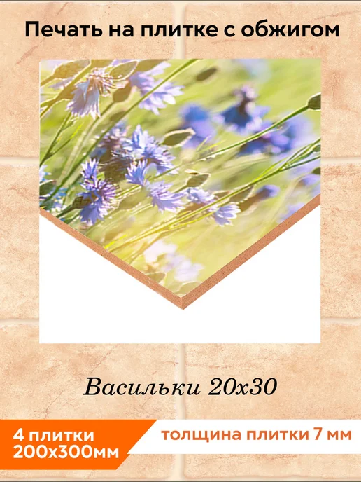 fres-co Панно из керамической плитки Васильки 20х30, 20x30, фото 2