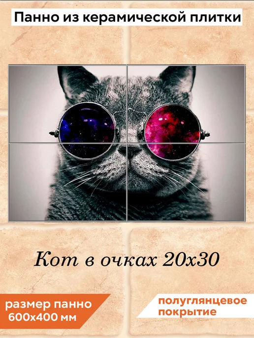 fres-co Панно из керамической плитки Кот в очках 20х30, 20x30