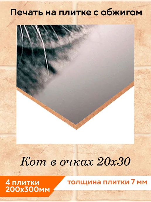 fres-co Панно из керамической плитки Кот в очках 20х30, 20x30, фото 2