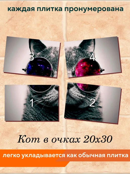 fres-co Панно из керамической плитки Кот в очках 20х30, 20x30, фото 4