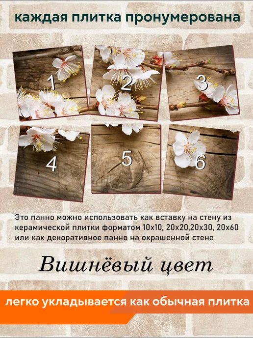 fres-co Панно из керамической плитки Вишнёвый цвет 10х10, 20x20, фото 4