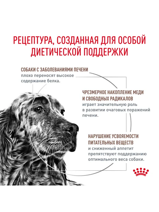 Сухой корм Royal canin Hepatic Заболев.Печени для собак, 6 кг, фото 3