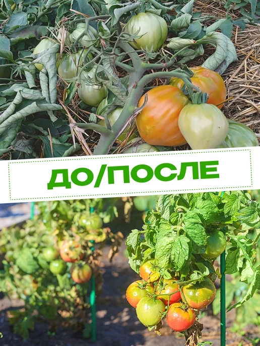 Садовита Колышки садовые для подвязки помидор растений 115 см, зеленый, фото 6