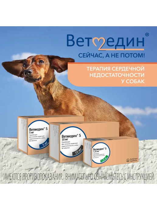 АВЗ Ветмедин S для собак, 1,25 мг, таблетки, № 50, вариант, фото 2