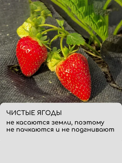VIGORHIT Агроткань для клубники с отверстиями, спанбонд, 5 м, 5 м, фото 6