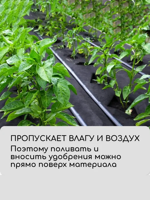 VIGORHIT Агроткань для клубники с отверстиями, спанбонд, 5 м, 5 м, фото 7