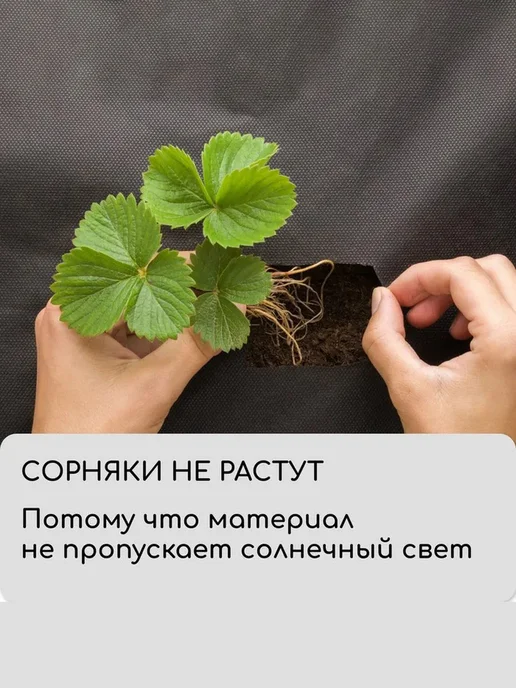 VIGORHIT Агроткань для клубники с отверстиями, спанбонд, 5 м, 5 м, фото 8