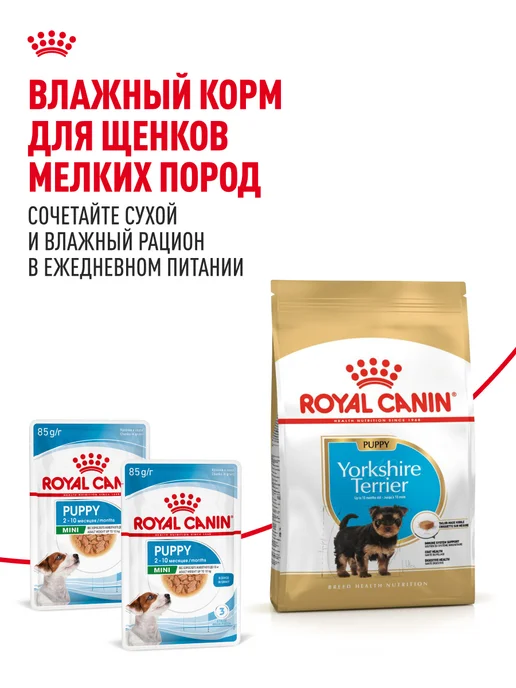 Сухой корм Royal canin Йоркширский Терьер для собак, щенки, 0,5 кг, фото 8