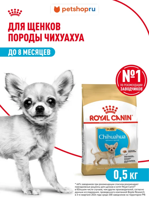 Сухой корм Royal canin Чихуахуа для собак, щенки, курица, 0,5 кг