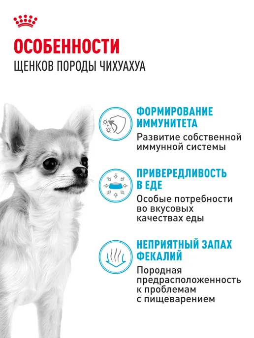 Сухой корм Royal canin Чихуахуа для собак, щенки, курица, 0,5 кг, фото 2