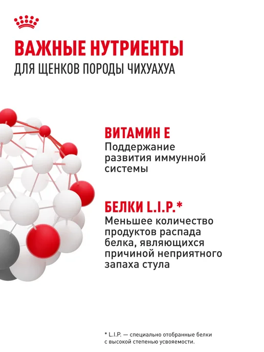 Сухой корм Royal canin Чихуахуа для собак, щенки, курица, 0,5 кг, фото 5