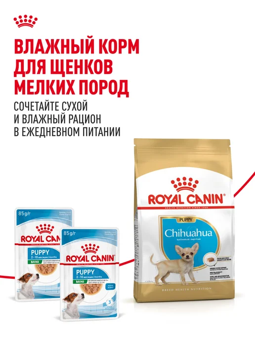 Сухой корм Royal canin Чихуахуа для собак, щенки, курица, 0,5 кг, фото 8