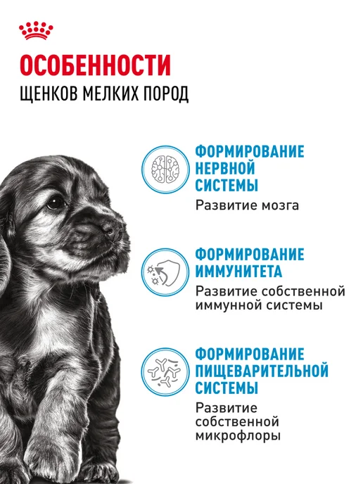 Сухой корм Royal canin для собак, мелкие, щенки, курица, 0,8 кг, фото 2