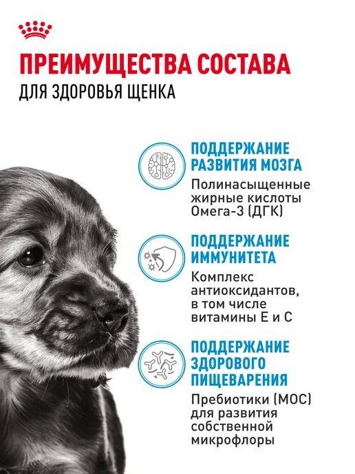 Сухой корм Royal canin для собак, мелкие, щенки, курица, 0,8 кг, фото 3