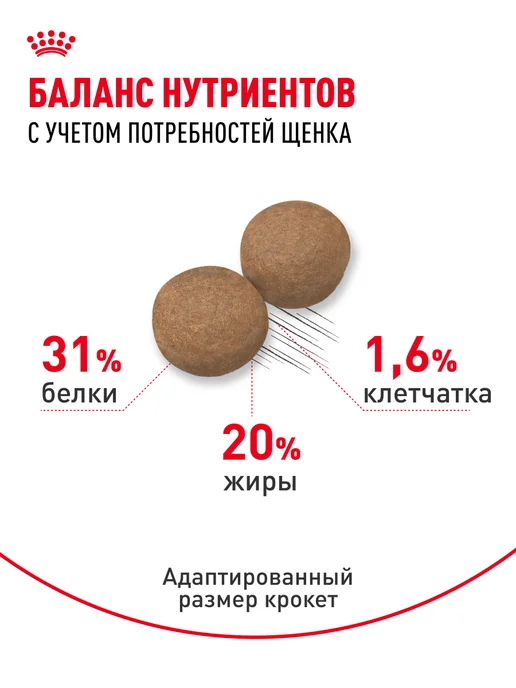 Сухой корм Royal canin для собак, мелкие, щенки, курица, 0,8 кг, фото 4