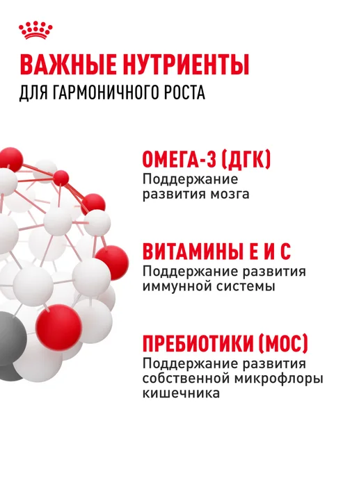 Сухой корм Royal canin для собак, мелкие, щенки, курица, 0,8 кг, фото 5