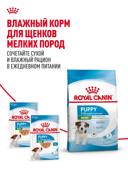 Сухой корм Royal canin для собак, мелкие, щенки, курица, 0,8 кг, фото 8