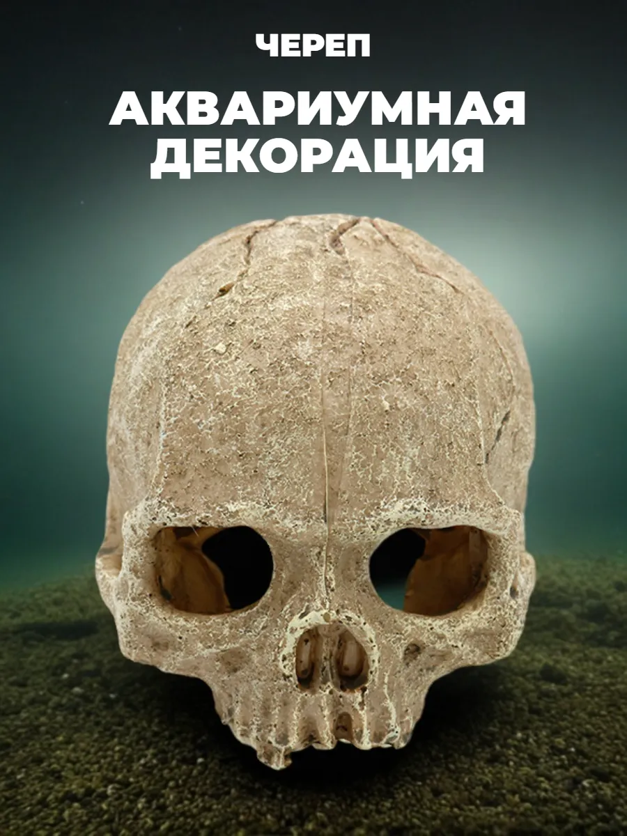 Череп декорация в аквариум для рыб