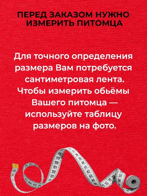 chekalan anna Одежда для кошек сфинкс и собак мелких пород, красный, фото 2