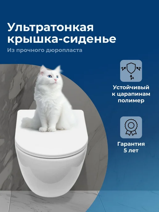 Aquanet Унитаз подвесной микролифт Цитрус 3.0 Торнадо, вариант, фото 5
