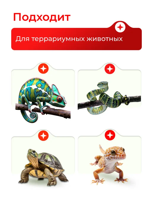 Magic Light Лампа греющая для рептилий черепах 75 Вт 2шт набор, 75 Вт, 2 шт, фото 7