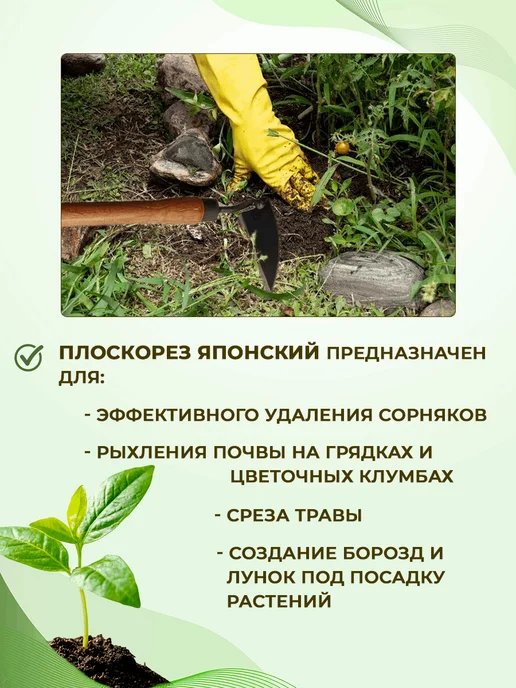 Торнадика Плоскорез садовый Японский, вариант, фото 2