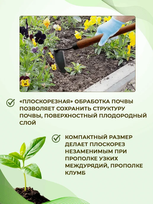 Торнадика Плоскорез садовый Японский, вариант, фото 3