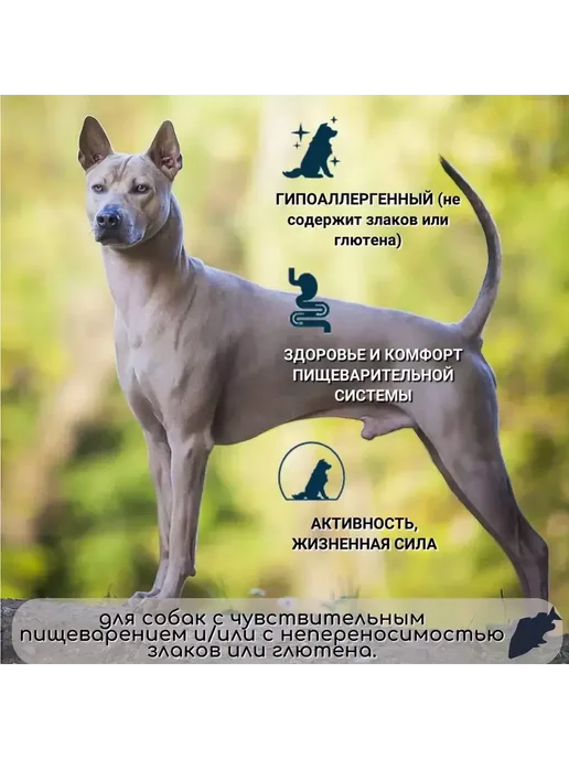 Сухой корм Flatazor Elite для собак, беззерновой, лосось, 20 кг, фото 4