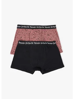 Трусы, 2 шт FUNDAY 411776389 купить за 509 ₽ в интернет‑магазине Wildberries