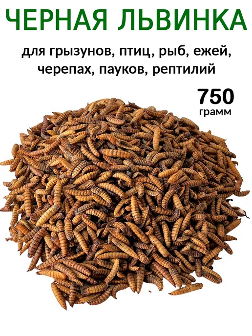 Менделеев Черная Львинка Сушеная для черепах, крыс, птиц 750 грамм, черный, фото 2