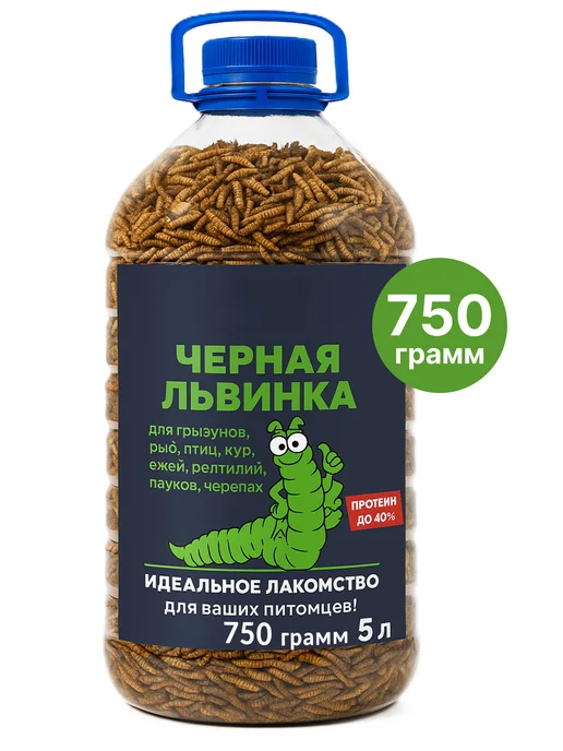 Zagotovki Shop Личинка Черной Львинки Сушеная 750 грамм, черный
