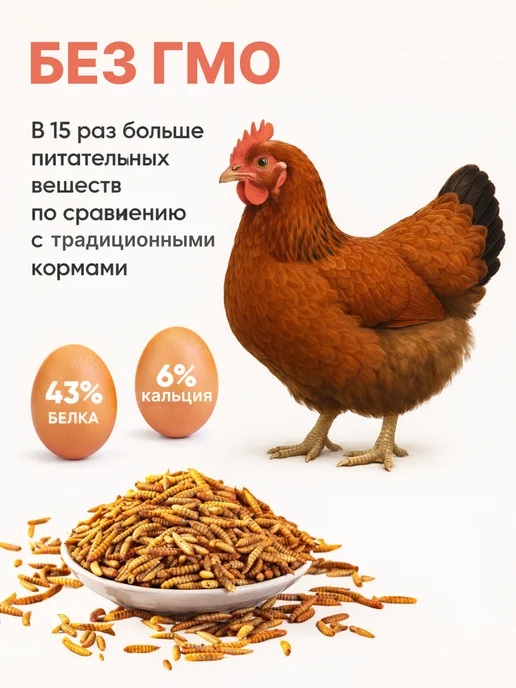 Zagotovki Shop Личинка Черной Львинки Сушеная 750 грамм, черный, фото 3