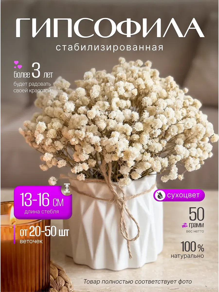 Букет сухоцветов для декора. Стабилизированные гипсофилы