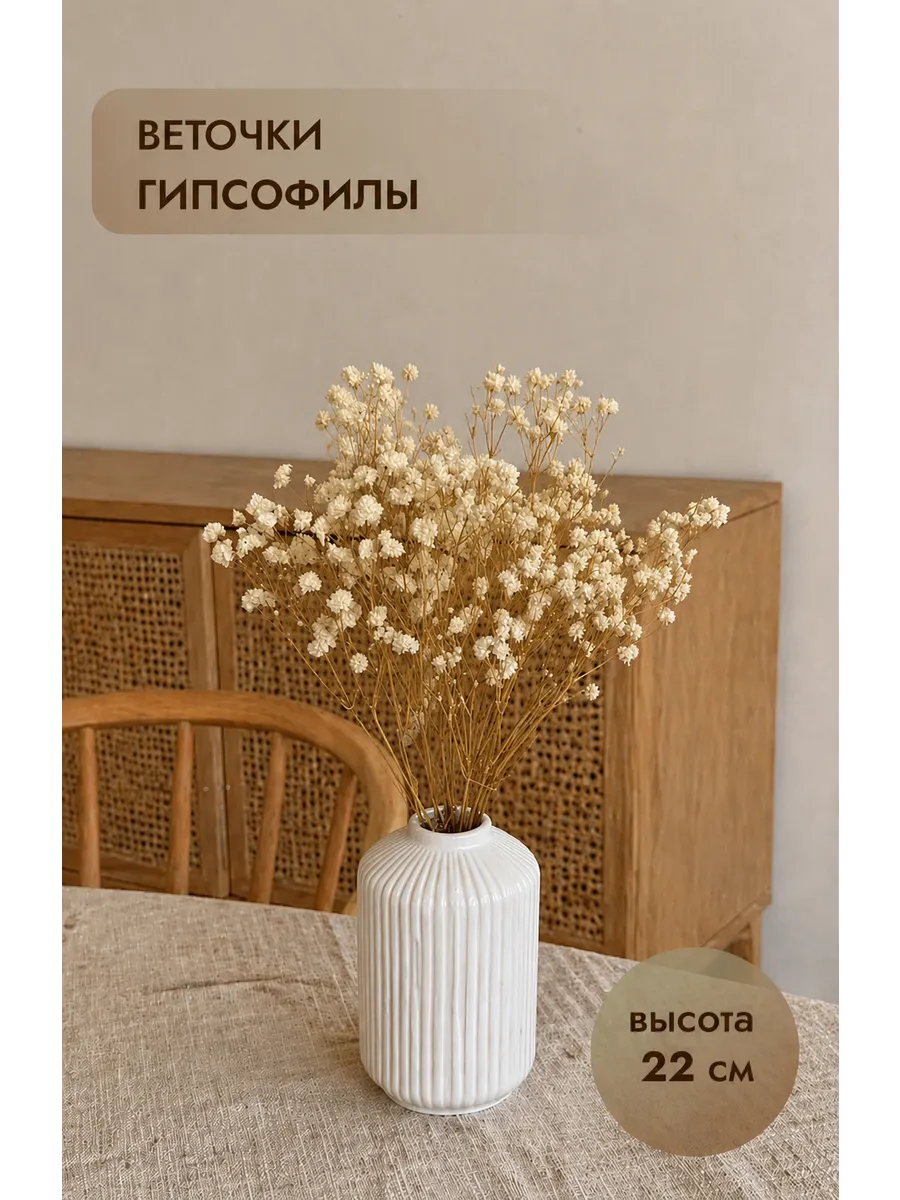 Гипсофила сухоцветы для творчества и декора