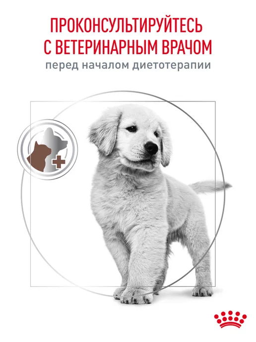 Сухой корм Royal canin Gastrointestinal При для собак, щенки, 1 кг, фото 8