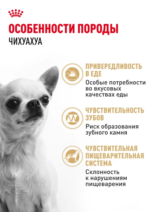 Сухой корм Royal canin Чихуахуа для собак, 0,5 кг, фото 2