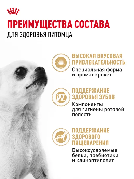 Сухой корм Royal canin Чихуахуа для собак, 0,5 кг, фото 3