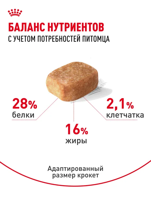 Сухой корм Royal canin Чихуахуа для собак, 0,5 кг, фото 4