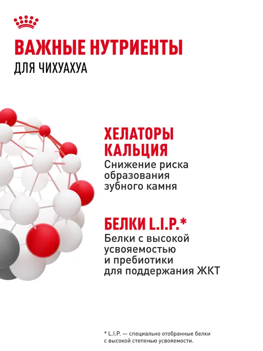 Сухой корм Royal canin Чихуахуа для собак, 0,5 кг, фото 5