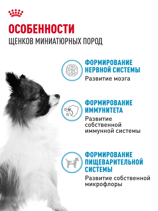 Сухой корм Royal canin для собак, мелкие, щенки, 0,5 кг, фото 2