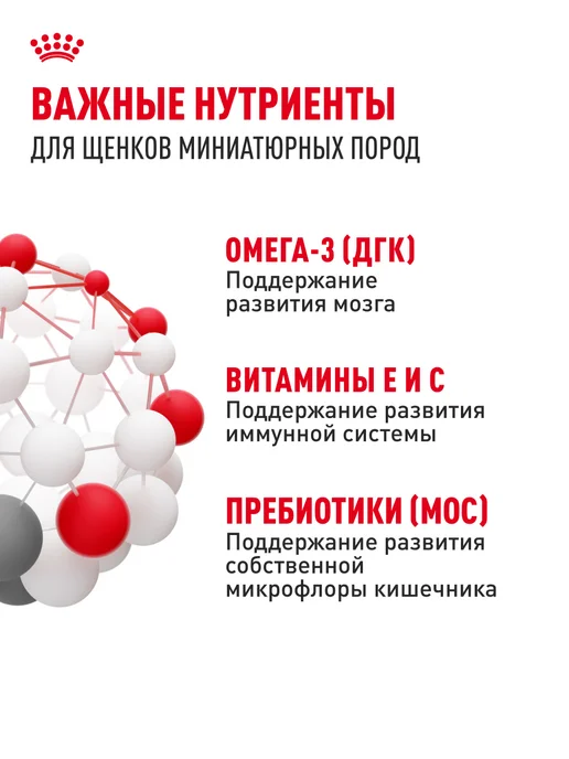 Сухой корм Royal canin для собак, мелкие, щенки, 0,5 кг, фото 5