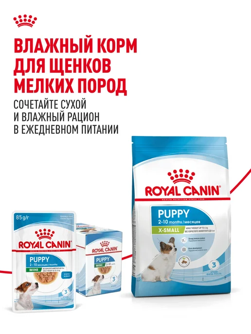 Сухой корм Royal canin для собак, мелкие, щенки, 0,5 кг, фото 8