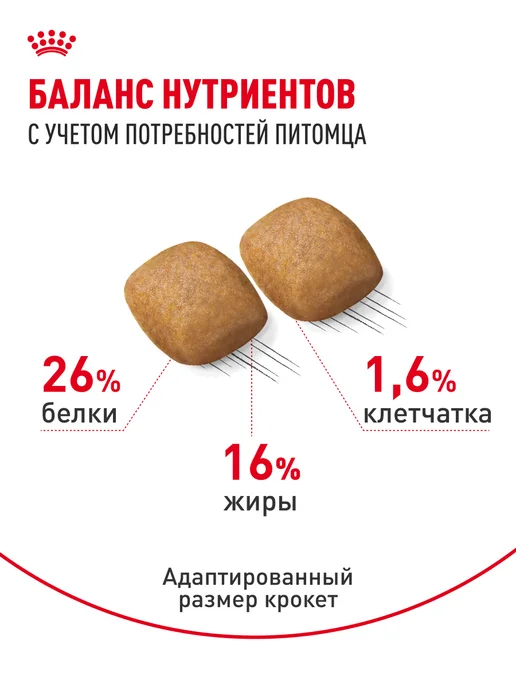 Сухой корм Royal canin Pomeranian Померанский для собак, 0,5 кг, фото 4