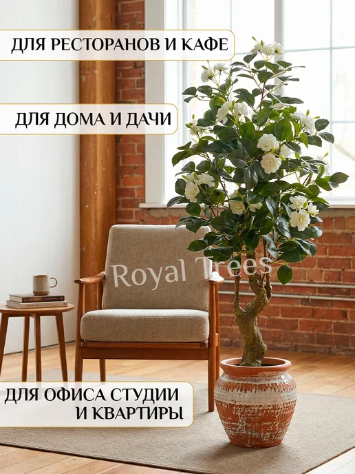 Royal Trees Искусственное дерево Роза, белый, фото 2
