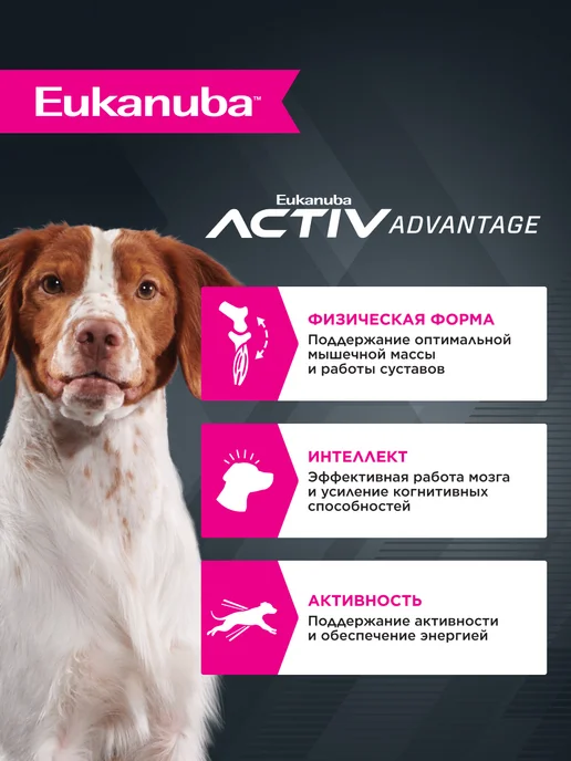 Сухой корм Eukanuba для собак, средние, курица, 3 кг, фото 2