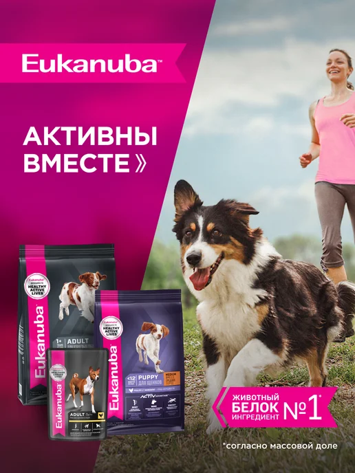 Сухой корм Eukanuba для собак, средние, курица, 3 кг, фото 7