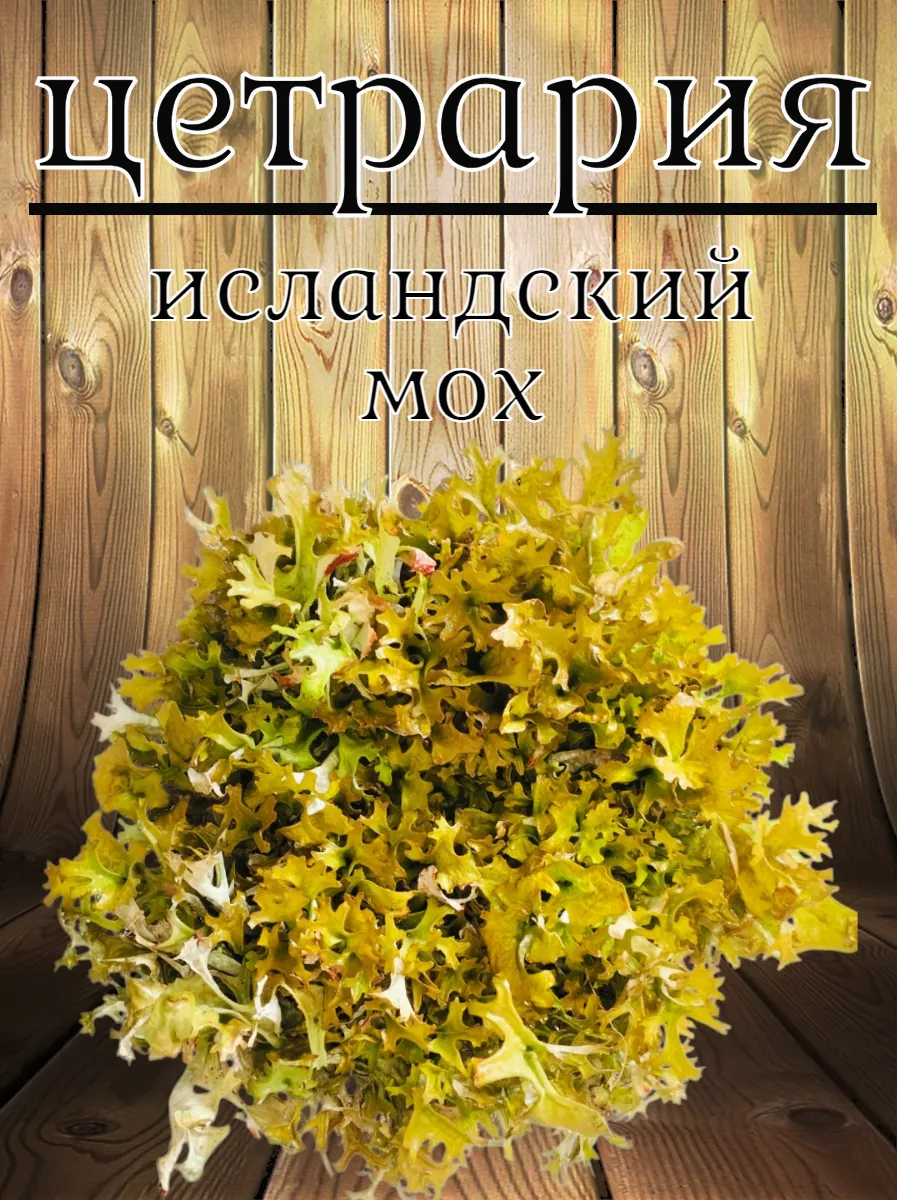 Цетрария живая (Исландский мох) 50гр.